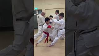 Martial arts isnt just about punching kicks or blocks you knowActually maybe it is [upl. by Clay]