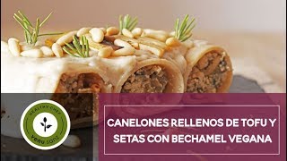 CANELONES RELLENOS DE SETAS Y BECHAMEL VEGANA [upl. by Handler607]