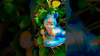 🙏💙🙏song newsong krishna shortsvideo vrindavan krishnasong music newhar harekrishna [upl. by Farrington385]