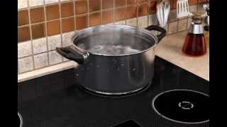 Induction Cooking Overview [upl. by Narahs]