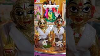 Krishna Devotees morning 600800 ruting 🦚🪷viralvideo love ytshorts shorts [upl. by Surtemed734]