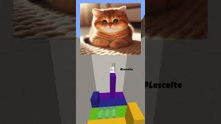 Un gattino paffutissimo 😺 perte ai minecraft animali gatto [upl. by Hawkins858]