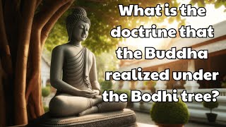 What is the doctrine that the Buddha realized under the Bodhi tree  Mind Podcast [upl. by Yeliab472]