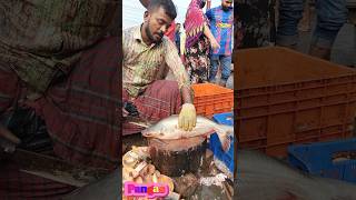 Amazing Great Delicious Pangas Fish Cutting Techniques  Fish Cutting Skills [upl. by Dazhehs]