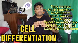 SPECIALISED CELLS Best Lesson Ever gcse cells cellbiology mrroshan [upl. by Etnaed841]