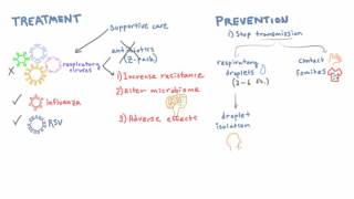 Respiratory Viruses  Treatment and Prevention [upl. by Wesle]