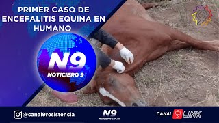 PRIMER CASO DE ENCEFALITIS EQUINA EN HUMANO  NOTICIERO 9 [upl. by Anawad]