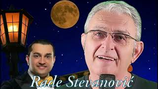 Rade Stevanović Srem  Svadba sremačka  Official Music Audio [upl. by Retnyw]