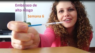 semana 6 embarazo  6 weeks pregnancy vlog [upl. by Durning]