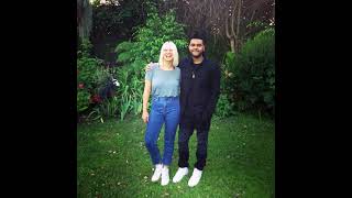 Sia Feat The Weeknd  Elastic Heart Stems ReworkHidden Vocals [upl. by Gona]