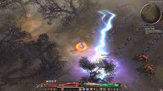 Quest Infested Fields Destroy Dermapteran Egg Clusters Grim Dawn [upl. by Noby]