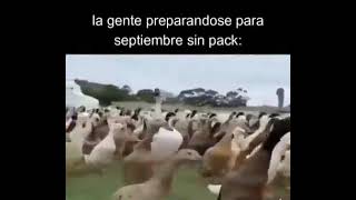 El himno nacional de este mes septiembre [upl. by Yerocaj58]