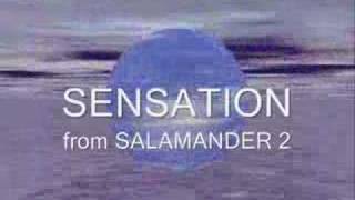 SENSATION from SALAMANDER 2 [upl. by Agamemnon]