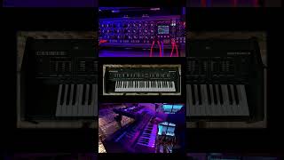 Crumar MultimanS and Minimoog Ozzy vintagesynthesizer vintagesynth analogsynth eurorack [upl. by Elatsyrc209]