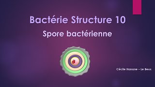 Bactérie Structure 10 SPORE BACTERIENNE [upl. by Enidualc978]