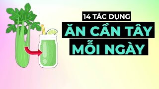 14 Tác Dụng Của CẦN TÂY Với Sức Khoẻ Nếu Ăn Mỗi Ngày  Lý Do Nên Thêm Vào Chế Độ Ăn [upl. by Ally]