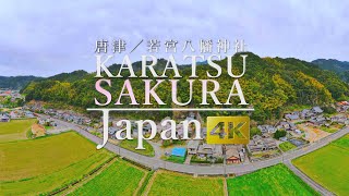 【佐賀／唐津４K】唐津の桜2024／若宮八幡神社 SAKURA 4K in SAGAJAPAN／桜4Kin日本､佐賀【Mavic Air2】 [upl. by Materi]