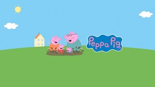 🔴 Giant Peppa Pig and George Pig LIVE FULL EPISODES 24 Hour Livestream [upl. by Yelrebmyk513]