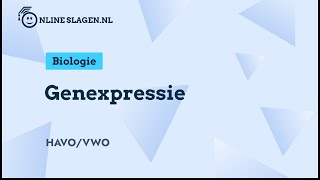 Genexpressie  Biologie Eindexamen havo amp vwo [upl. by Nedearb]