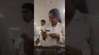 MBBS Student performing hematology practical mbbsmotivation neet2023 medicalcollege [upl. by Hsitirb]