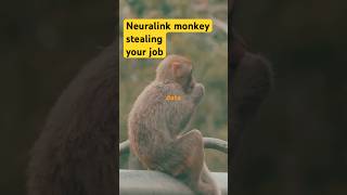 Neuralink monkeys stealing your job 🐒💻 monkey neuralink tech [upl. by Valli]