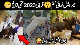 Hilarious Animal Qurbani Fails 😂 Bakra Eid 2023 Anari Kasai viral videos  Israr Info Tv [upl. by Eema]