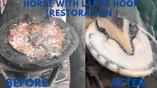 Shire Horse Complete restoration Shire Horse Restoration Compilation shirehorse huge massivehoof [upl. by Hajin]