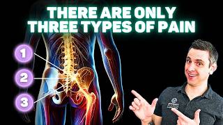 The Real ROOT CAUSE of Chronic Back Pain pt2  Three Types of Pain [upl. by Ajet]