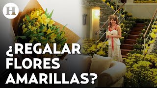 ¿Por qué regalar flores amarillas Te explicamos de dónde salió el trend [upl. by Wier213]