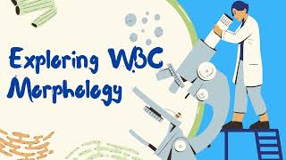 Exploring Haematology Morphology  White blood cells Leukocytes introduction [upl. by Anerac]