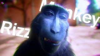 MOONLIGHT 🌕 The BEST Monkey RIZZ Edit Youll EVER See [upl. by Nivlek327]