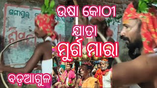 Usha kothi jatra video badaagula ganjam ମୂର୍ଗମରା ଭିଡ଼ିଓ କୋଠୀ ଶାଳ ଭିଡିଓ [upl. by Amehsyt]