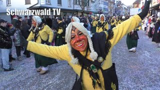 🥳🎉 Großes VONNarrentreffen 2024 in Wehr 🎺🥁 Kompletter Jubiläumsumzug in HD 120 Min 14012024 [upl. by Yeltneb390]