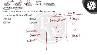 Ribose Guanine Adenine Uracil Phosphate Cytosine Thymine\nHow many components in the abo [upl. by Hteboj]