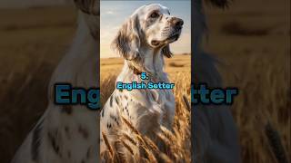 Top 10 Cutest Dog Breeds in the worldpart1 dog trending youtubeshorts [upl. by Zacharias56]