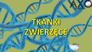 33 Tkanki zwierzęce [upl. by Genvieve]