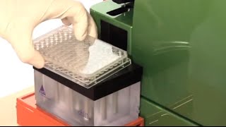 96well flow cytometry analysis on the MACSQuant Analyzer [upl. by Devad46]