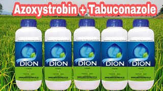 Dion fungicide ।azoxystrobin  Tabuconazole use।।use। price। Dose। [upl. by Patterson]