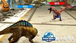 MEGALOCEVIA vs ALLORAPTOR 😅 JURASSIC WORLD ALIVE [upl. by Adela]