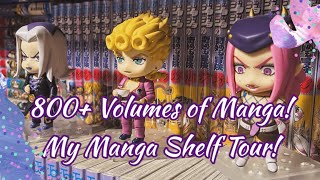 800 Volumes of Manga  My Manga Shelf Tour [upl. by Carleen]