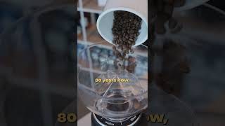 FIORENZATO ALL GROUND COFFEE GRINDER IN DEPTH OVERVIEW  Eight Ounce Coffee  COFFEE GRINDER [upl. by Maller]