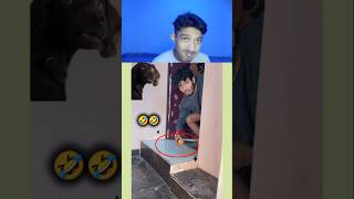 Try Not to Laugh Challenge 137🤣 funny shorts viral [upl. by Giarg]