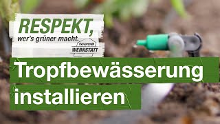 Tropfbewässerung installieren  toom Werkstatt [upl. by Hochman]