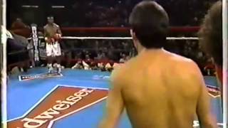 JULIO CESAR CHAVEZ  LA CINTURA DE GOMA [upl. by Atneciv131]