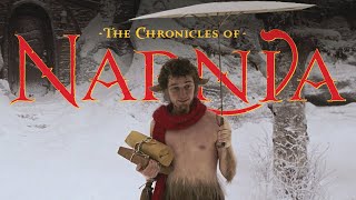 The Chronicles of Narnia 🦁 Mr Tumnus House Cave  ASMR Ambience  Cozy Fireplace Muffled Wind Snow [upl. by Aedrahs]