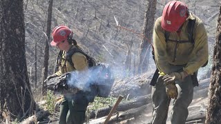 Wildfire season and the evolution of forest management in New Mexico [upl. by Yahsan]