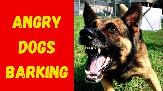 ANGRY DOGS BARKING To Make Your Dog Bark Sound Effects High Quality [upl. by Hartwell]