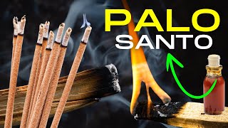 🔥💨 CUIDADO No Uses PALO SANTO si no sabes sus BENEFICIOS Suerte y Dinero [upl. by Codd474]