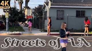 The Streets of LA  Figueroa Street  Episode 1  Los Angeles Ca 4K [upl. by Hamas]