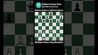 Brilliant pawn checkmate  Brilliant rook sacrifice  Wilhelm Steinitz vs Mikhail Chigorin 1892 [upl. by Tiffy]